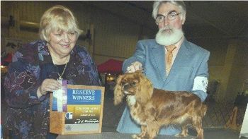 Barbara E. Magera's Madeline - Reserve Winners Bitch awarded by Judge Ms. Barbara J. Wood to Dawnaquinn Paint the Town Red at the Speed Way Classic of the Carolinas, Conformation in Concord, North Carolina on March 29, 2012. Madeline was bred by Wendy Maisey and Julia M. Wilson and expertly handled by Rod Tiedjen.
