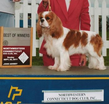 LaurelWind Go The Distance, "Miles" goes Best Of Winners.
