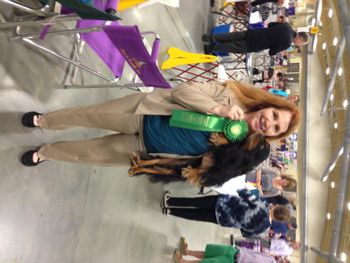 Ch. Inkahoots Patty Cakes won Best Veteran in Specialty at the Blueridge Specialty,  June 2014
