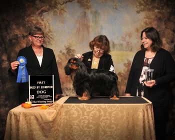 Best by Exhib Dog Judge Wendy Maisey Badgerland 10-16
