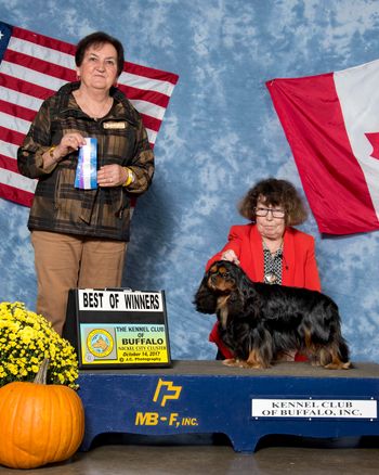 Ca Cambridge Rutledge new US Champion Awarded BOW by Judge Elizabeth Muthard
