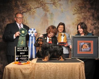 "Rutledge" CA Cambridge Rutledge breed by Elaine L. Mitchell & Barbara E. Magera
