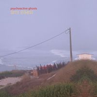 Psychoactive Ghosts by Sorry Gilberto