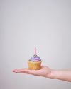 Extra Birthday Party Guest ($20 per guest)