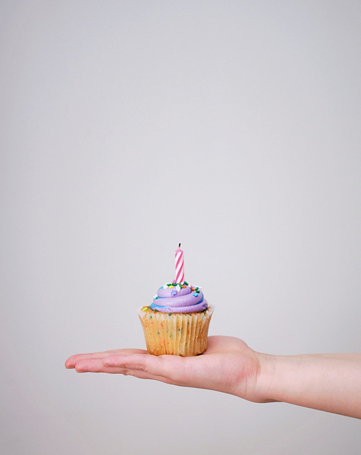 Extra Birthday Party Guest ($20 per guest)
