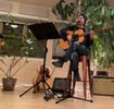 House Concert Donation (recommend $20 per person)