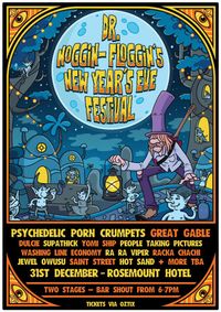 Dr Noggin Floggin NYE Festival