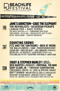 Beachlife Festival