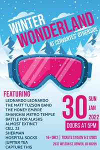 Winter Wonderland 