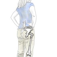 Connecting Through Your Hip Joints by Anita Bueno