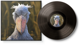 The Chronicles of Manimal and Samara — MISANTROPI. New album out June 12th. Pre-order the 12” Vinyl