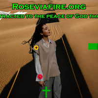 (#1) - They are attracted to the peace of God that you carry by Roseviafire.org