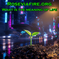 (#3) - What is the meaning of life by Roseviafire.org
