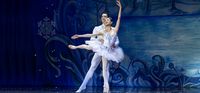 The Nutcracker