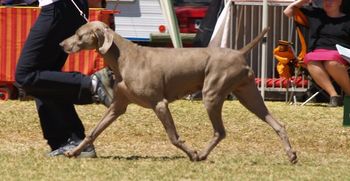 on the move 9wks after her babies
