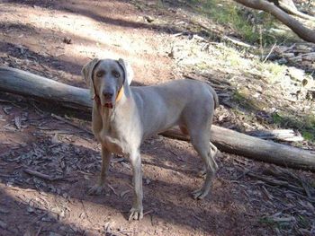 Holly Stivala
