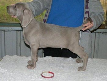 8wks
