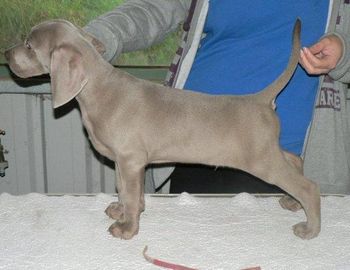 8wks
