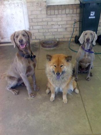 Blu, Baci and Faith
