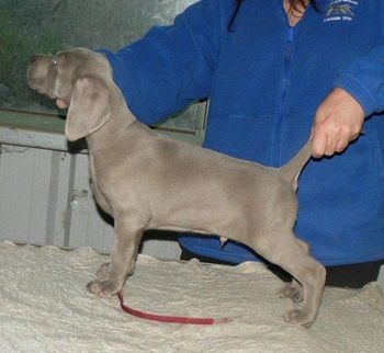 6wks
