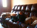Baci, Ashton and Luna
