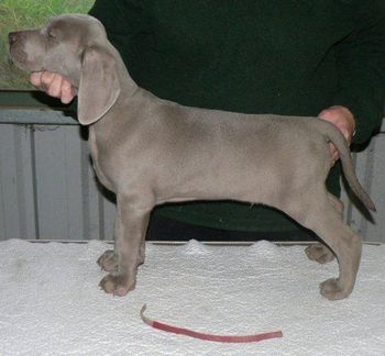 8wks
