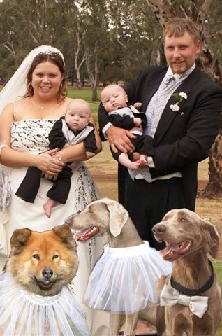 Claire, Simon with twins Ashton and Connor. Dogs Baci, Faith and Blu
