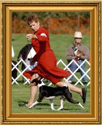 MBIS/MBISS Am/Can/Intl/UKC Ch, AKC GCH AB-Rafiki The Icon Of Cool SDHR
