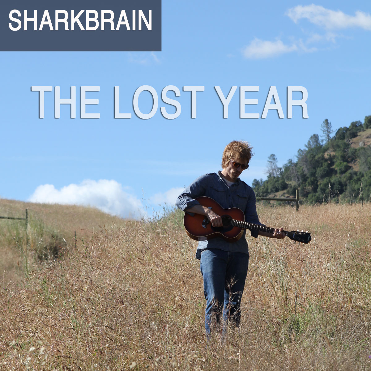 THE LOST YEAR episode artwork