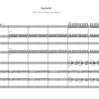 Lament by David Floer - Cello Octet with Low F string cello or Double Bass