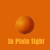 In Plain Sight - CD
