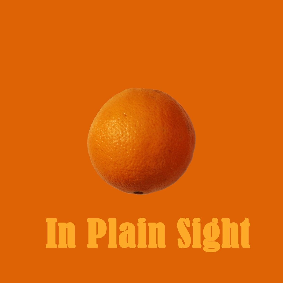 In Plain Sight - CD