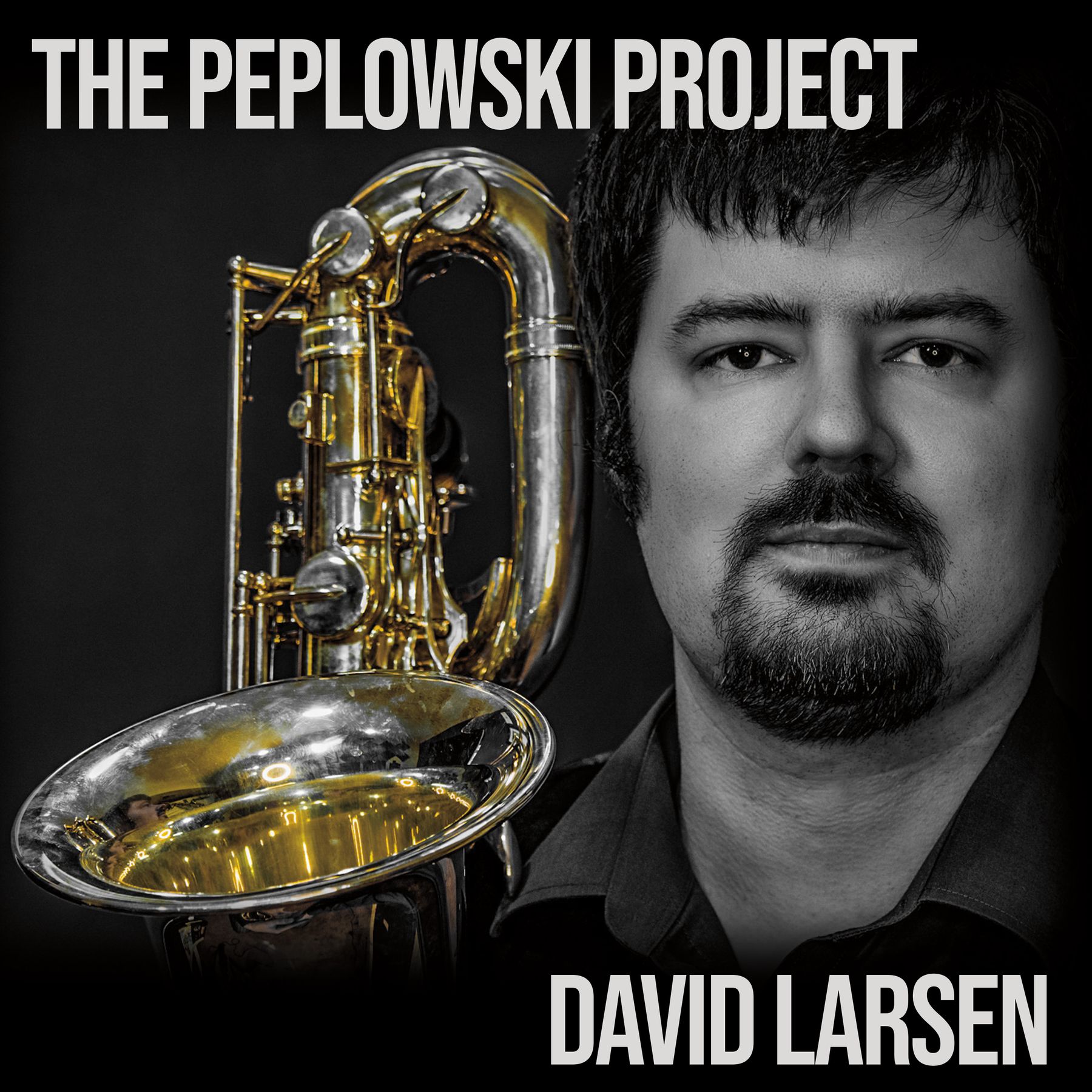 David Larsen - Music
