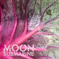 Rapture by Moon Submarine