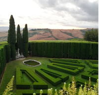 Incontri in Terra di Siena Festival: July 23-31, 2021