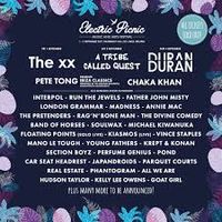 Electric Picnic Festival, Ireland