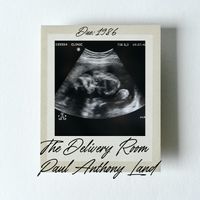 The Delivery Room by Paul Anthony Land