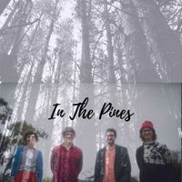 In The Pines