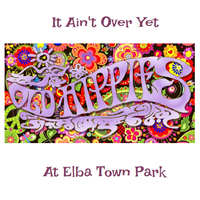 It Ain't Over Yet by Old Hippies