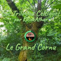 Les Trilogies Celtiques, Vol.4 by KRickAThur