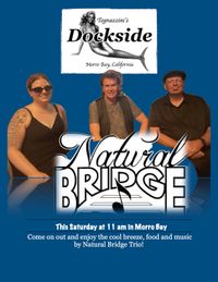 Natural Bridge Trio 