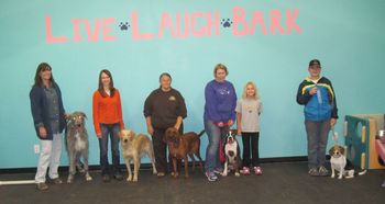 Canine Good Citizen class October 2013
