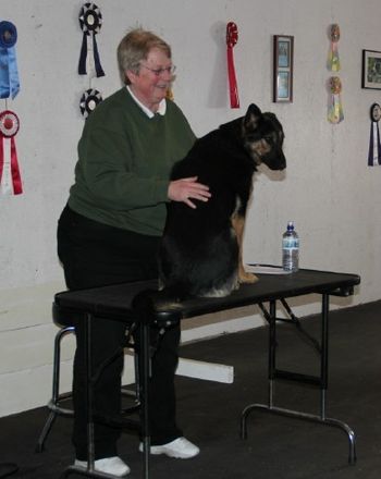 Instructor Jacki Wright working with Harmonie
