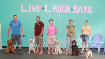 Puppy Kindergarten July 2013
