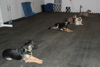 Competition class January 2013
