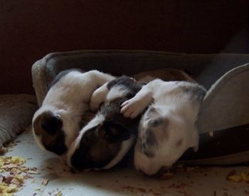 Night night!
