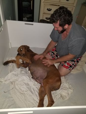 Labor started 11/3/18
