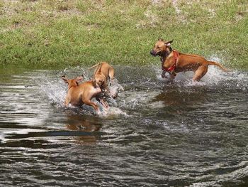 love that water play
