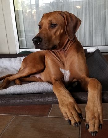 Joon relaxing
