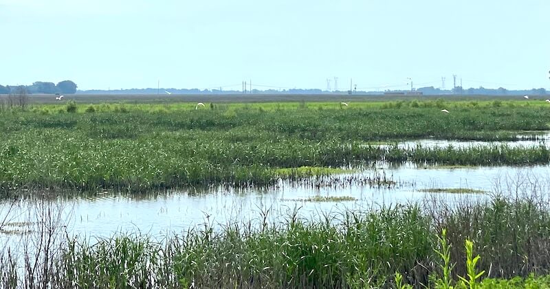 Riverlands Migratory Bird Sanctuary